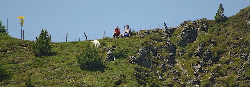 Viel Auslauf beim Hüttenurlaub mit ihrem Hund in Österreich