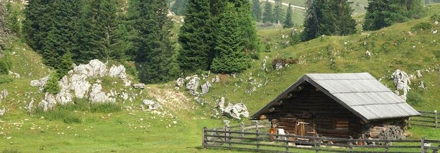 Hütten und Chalets in Österreich suchen und buchen