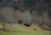 Urlaub Berghütte Österreich-Landschaft PAO00262