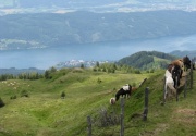 Urige Hütte mieten-Weitblick POH00146