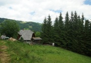 Hütte mit Hund-Aussen PBF00198