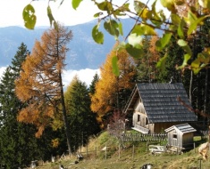 Einzeln liegende Almhütte mit Seeblick